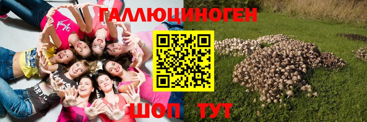 Псилоцибиновые грибы Magic Shrooms Санкт-Петербург